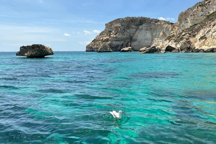 Dinghy Tour of Gulf of Cagliari: Devil's Saddle Snorkel, Prosecco & Sun photo 2