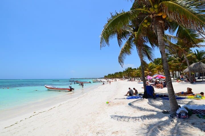 Akumal Bay Turtle Snorkel: Swim with Sea Turtles in the Mexican Caribbean photo 2
