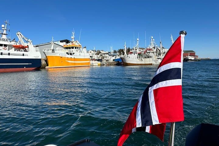 Private 4-Hour Boat Sightseeing in Leknes, Lofoten — Exclusive Small-Group Tour photo 5