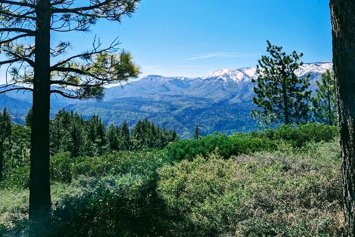 Big Bear Family Nature Hike: Stroller-Friendly Woods Walk with Hot Chocolate photo 5