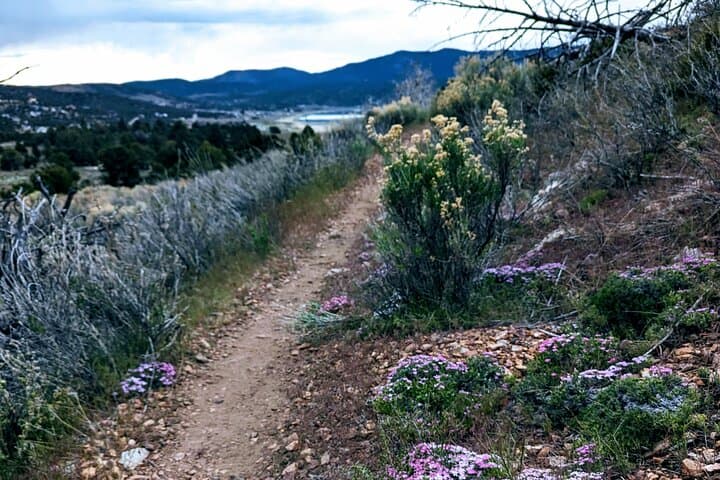 Big Bear Family Nature Hike: Stroller-Friendly Woods Walk with Hot Chocolate photo 6