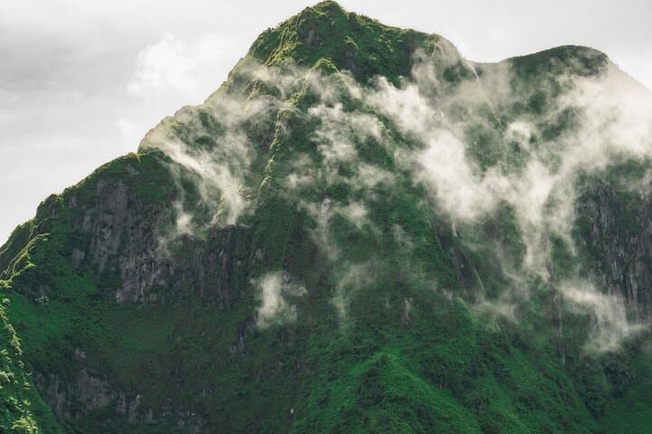 Summit Mount Liamuiga: Private Volcano Hike on St Kitts photo 3