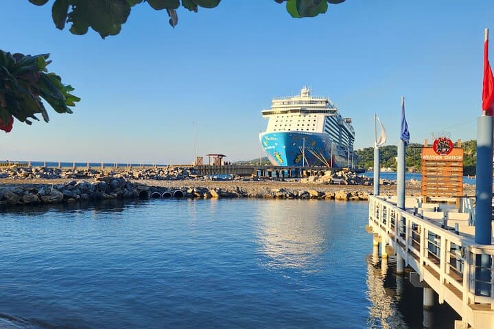 Roatan Zipline Adventure with Sloths, Monkeys, Chocolate & Rum (Private Tour) photo 4