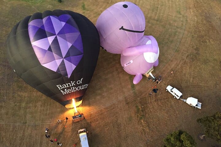 Yarra Valley Sunrise Hot Air Balloon Flight Over Vineyards photo 6