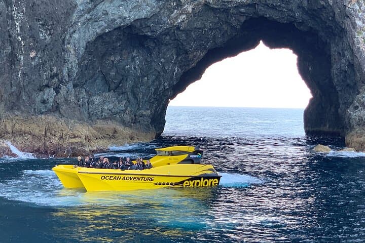 Fast Boat to the Hole in the Rock — Bay of Islands Thrill Cruise photo 2