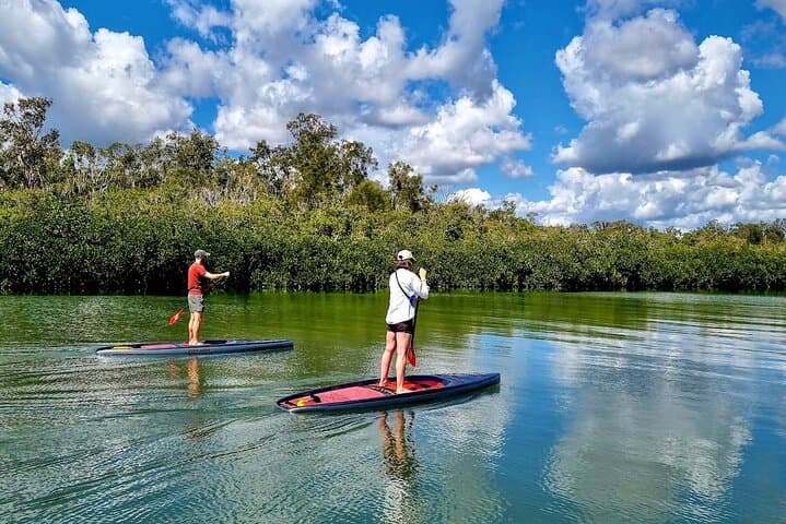 Private Stand Up Paddle Tour on Noosa River — Guided SUP Lessons in Noosaville photo 6