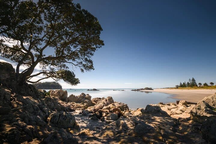Explore Mount Maunganui: Self-Guided Audio Walking Tour of Mauao and Beaches photo 6