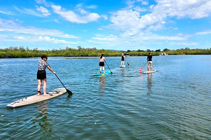 Private Stand Up Paddle Tour on Noosa River — Guided SUP Lessons in Noosaville