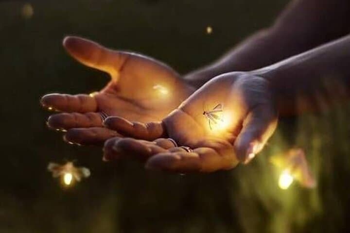 Ubud Village Firefly Night Tour & Balinese Farm Cooking Experience