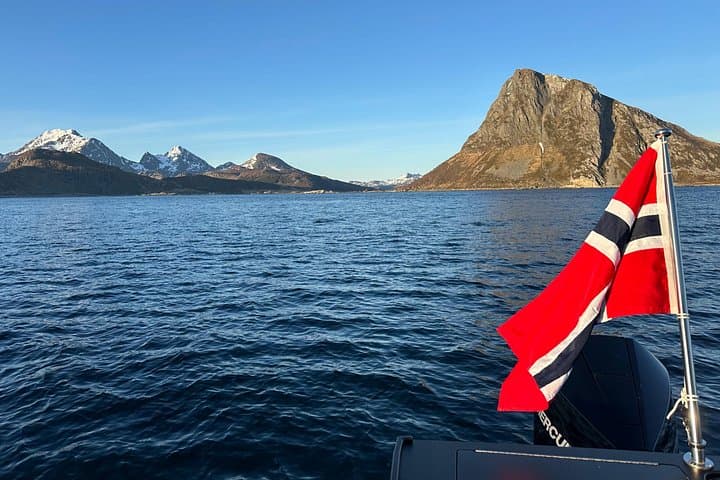 Private 4-Hour Boat Sightseeing in Leknes, Lofoten — Exclusive Small-Group Tour photo 3