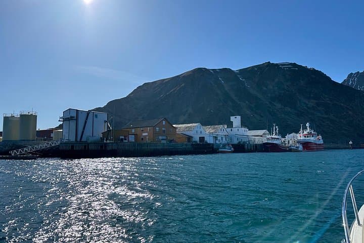 Private 4-Hour Boat Sightseeing in Leknes, Lofoten — Exclusive Small-Group Tour photo 4