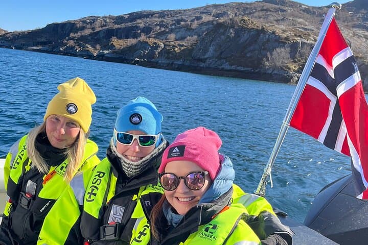 Private 6-Hour Lofoten Boat Sightseeing: Nusfjord, Reine & Hidden Beaches photo 3