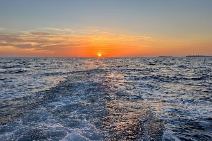 Pula Dolphin-Watching Sunset Cruise with Dinner and Brijuni Views photo 4