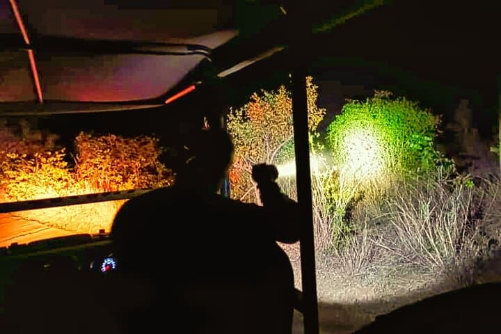 Victoria Falls Night Safari & Stargazing — 4x4 Moonlight Experience photo 6