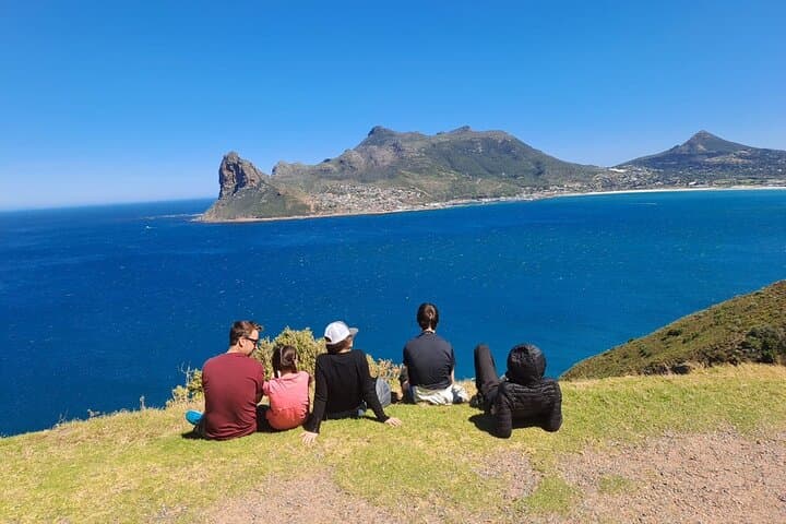 Cape Peninsula Penguin & Coastal Highlights Day Tour from Cape Town photo 5