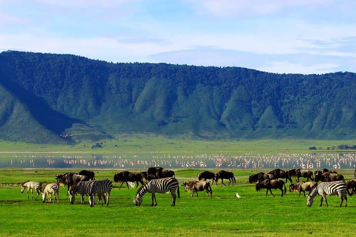 3-Day Serengeti & Ngorongoro Crater Wildlife Safari: Big Cats, Great Migration & Crater Game Drives photo 5