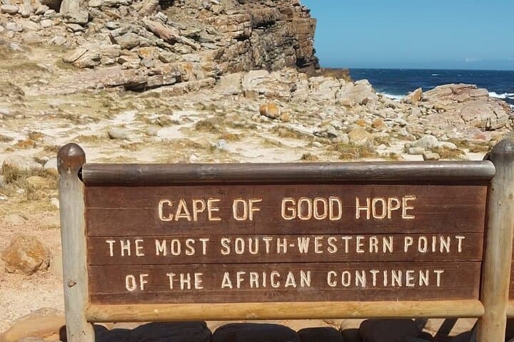 Cape Peninsula Penguin & Coastal Highlights Day Tour from Cape Town photo 6