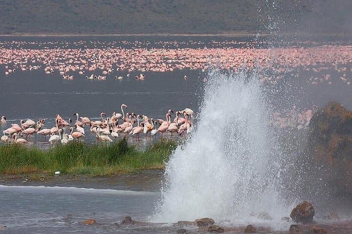 Day Trip to Lake Baringo: Flamingos, Hippos & Rift Valley Shoreline photo 6