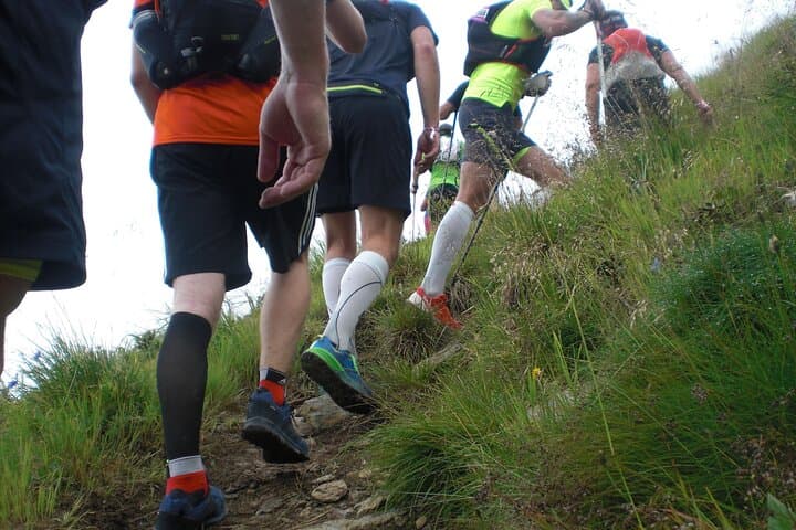 Trail Running in the Zugspitz Arena — Guided Runs from Ehrwald photo 5