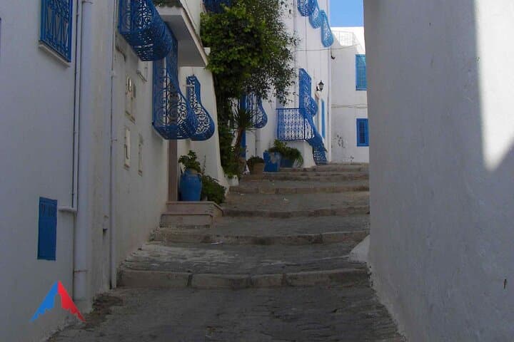 Tunis Medina, Carthage & Sidi Bou Said Day Tour — History, Sights & Practical Guide photo 3