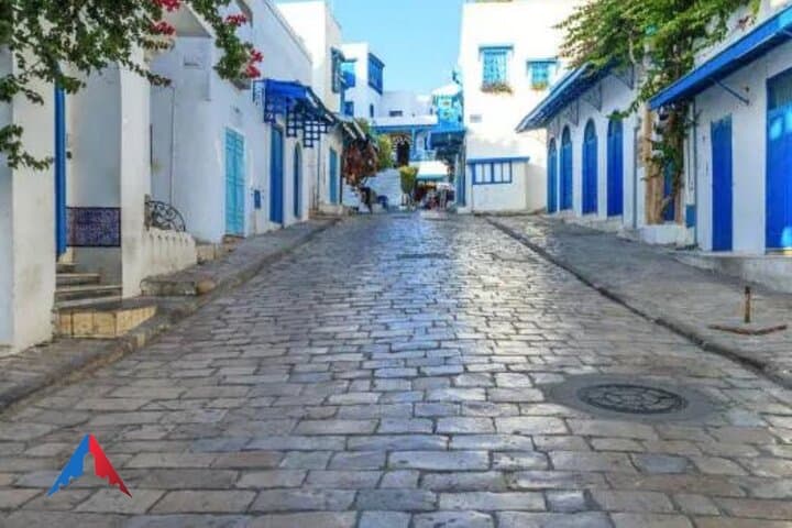Tunis Medina, Carthage & Sidi Bou Said Day Tour — History, Sights & Practical Guide photo 4