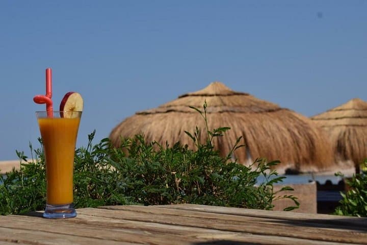 Sharm El Naga National Park: Snorkel with Turtles on a Full-Day Trip from Hurghada photo 3