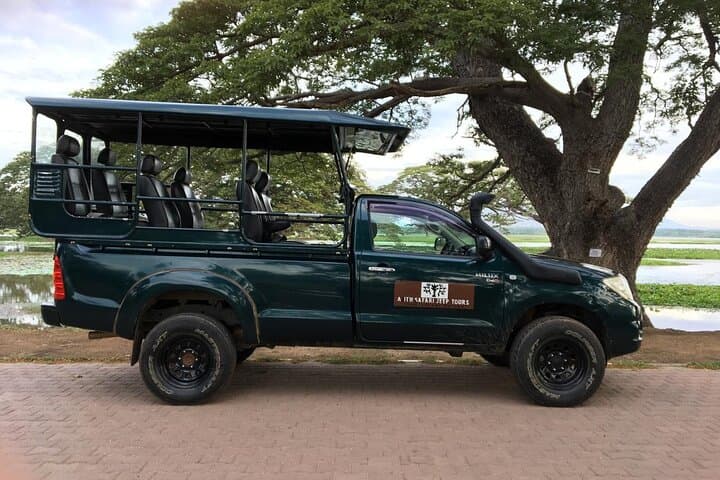 Yala Safari from Hambantota Port — Half-Day Leopard & Elephant Jeep Experience photo 6