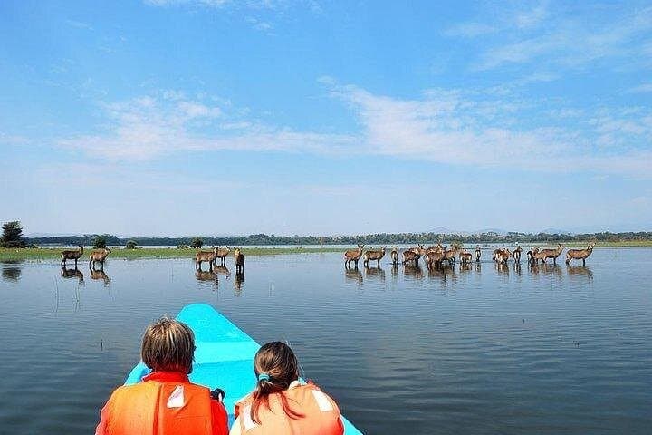 Lake Naivasha Boat Ride & Crescent Island Walk — Day Trip from Nairobi photo 2