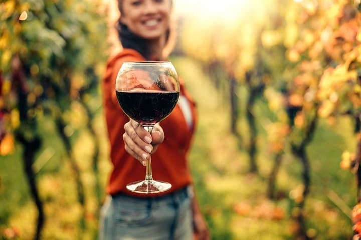 Cape Winelands Private Day Tour from Cape Town — E‑Bikes, Wine Farms & Franschhoek photo 4