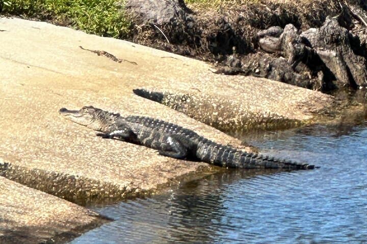 Kissimmee Lakefront Mountain Bike Tour: 2-Hour Paved Ride Along Lake Tohopekaliga photo 3