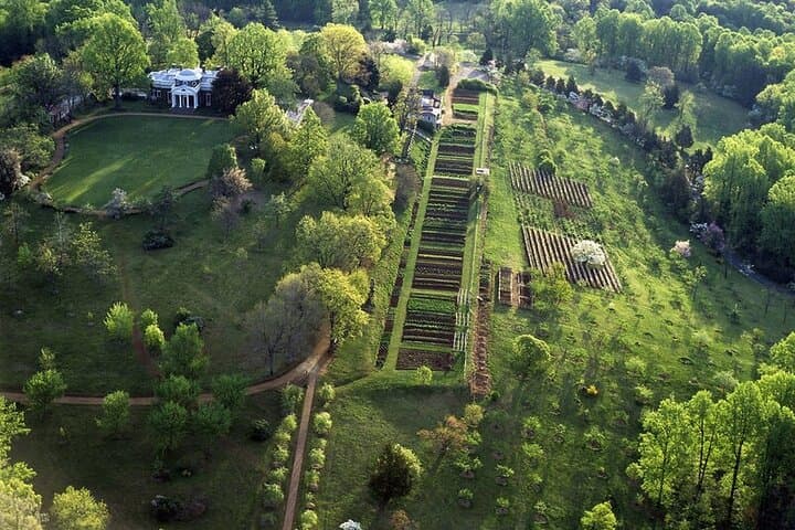 Monticello Day Tour from Washington DC — Visit Thomas Jefferson's Mountaintop Estate photo 3