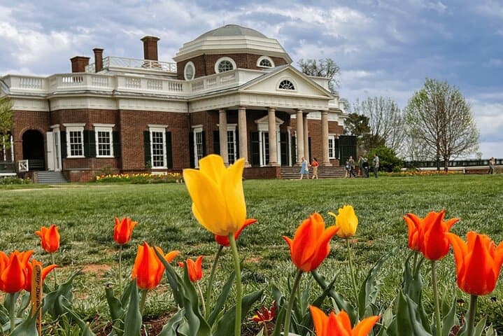 Monticello Day Tour from Washington DC — Visit Thomas Jefferson's Mountaintop Estate photo 4