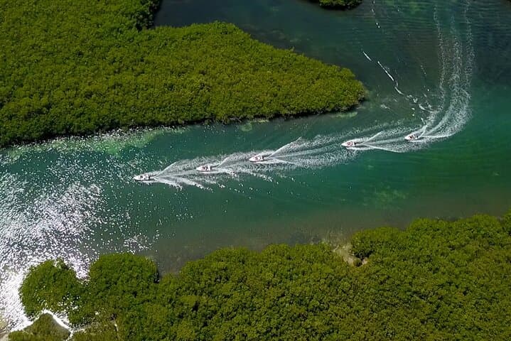 Pilot Your Own Speedboat and Snorkel Punta Nizuc — Cancun Mangrove to Reef Tour photo 3