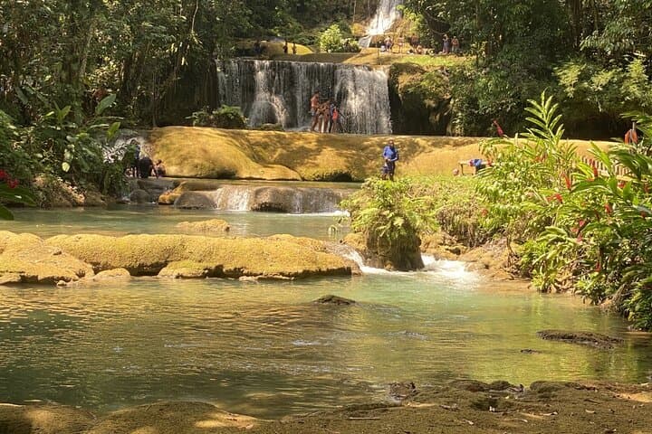 YS Falls and Zipline Adventure from Montego Bay: Private Day Trip to St. Elizabeth photo 4