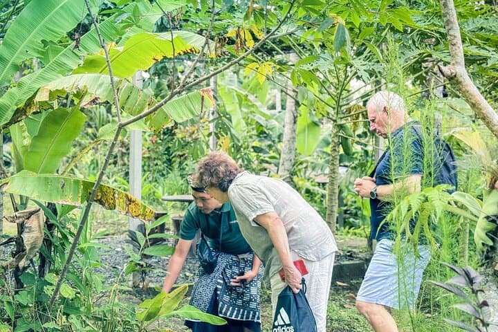 Ubud Balinese Cooking Class, Tegenungan Waterfall & Monkey Forest Day Tour photo 5
