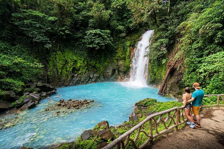 Rio Celeste Waterfall & Sloth Discovery — Tenorio Volcano National Park Day Tour