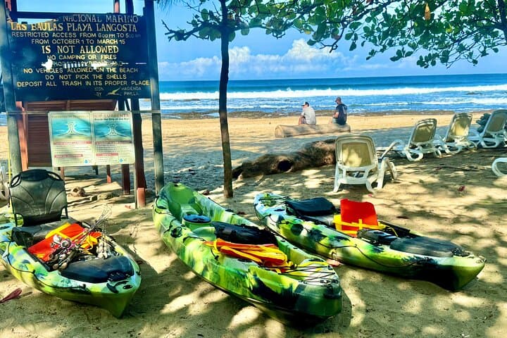 Tamarindo Mangrove Kayak: Blue Water River Tour in Las Baulas National Park photo 6