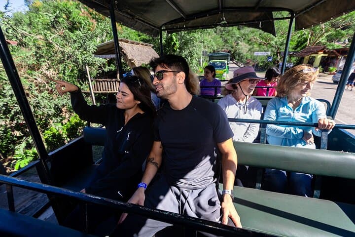 Canopy Los Veranos Zipline: Soar Puerto Vallarta’s Largest Jungle Zipline photo 4