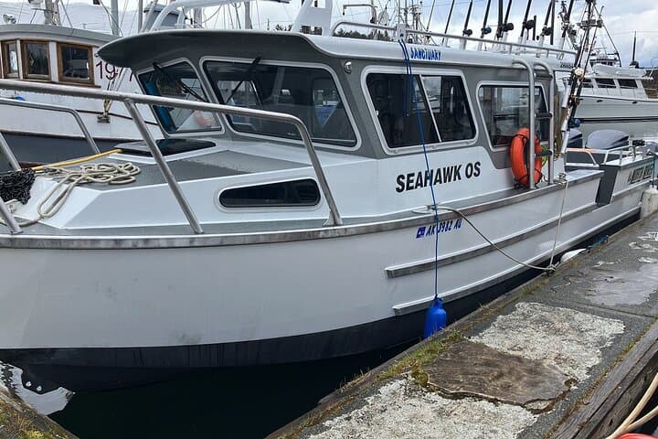 Exploring Icy Strait: Fishing and Whale Watching Adventures near Hoonah, Alaska photo 4