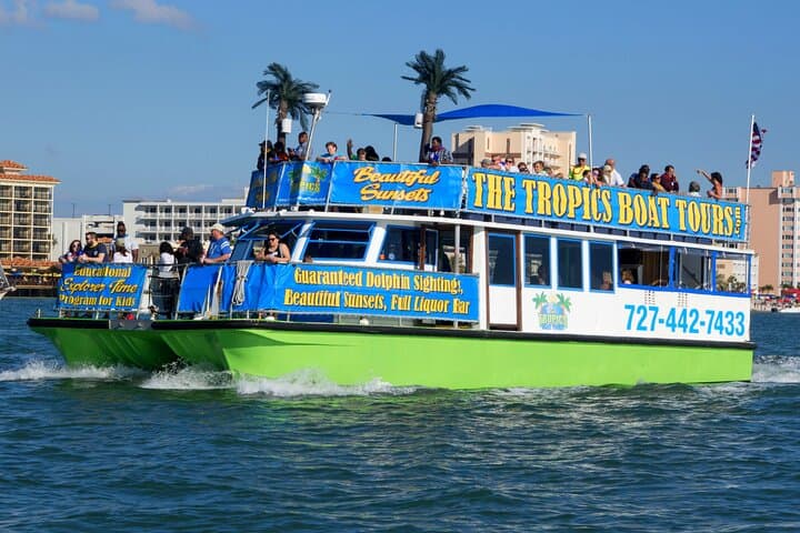 Guaranteed Dolphin Watching Cruise in Clearwater photo 5