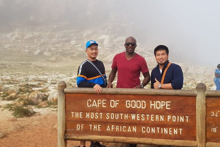 Table Mountain to Cape Point: Full-Day Cape Town Tour with Boulders Penguins photo 4