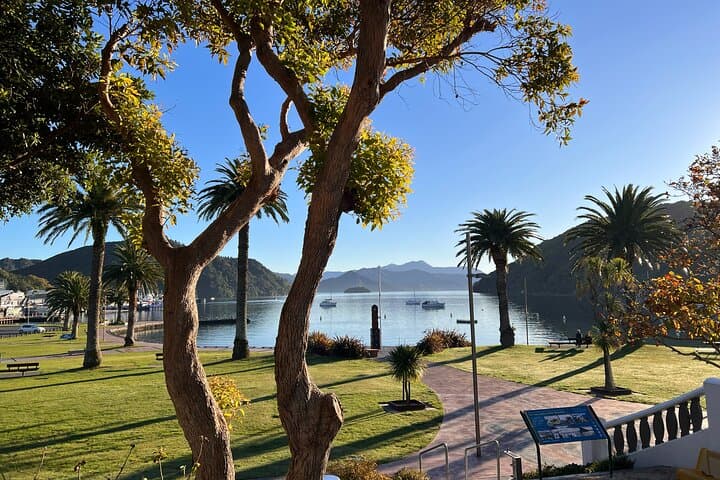 Self-Guided Picton Foreshore Audio Tour — Edwin Fox, Whaling History & Māori Sites photo 6