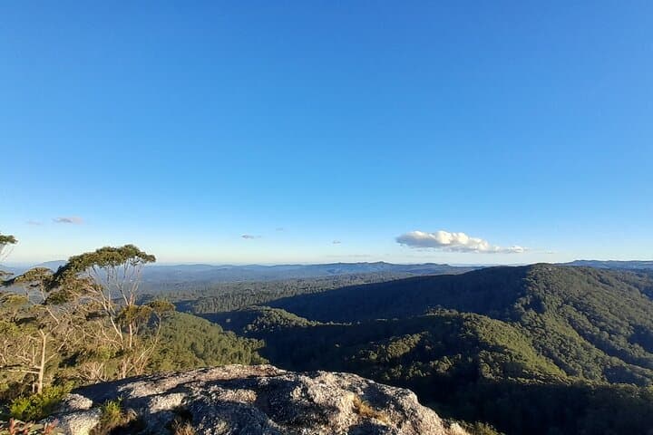 Port Macquarie Day Tour: Ellenborough Falls & Comboyne Rock Waterfall Hike and Lookout photo 6