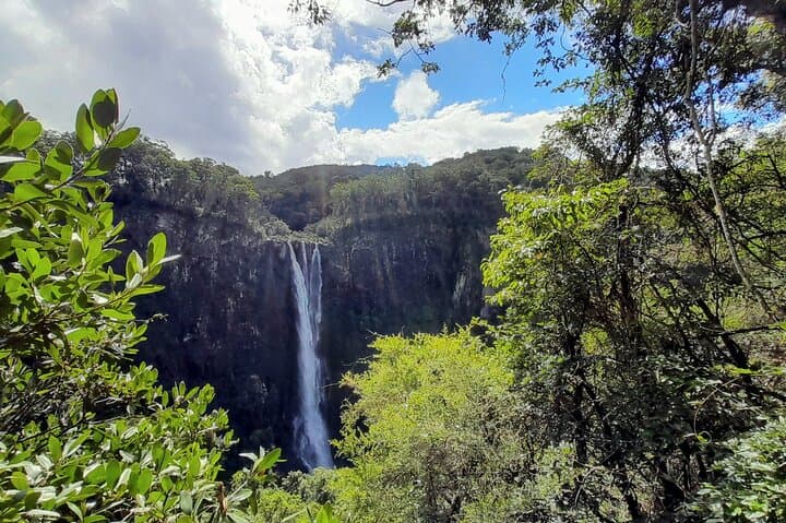 Port Macquarie Day Tour: Ellenborough Falls & Comboyne Rock Waterfall Hike and Lookout
