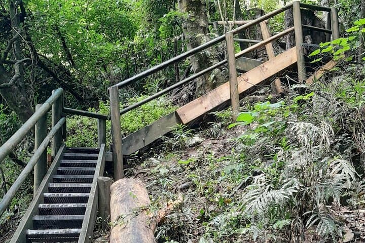 Port Macquarie Day Tour: Ellenborough Falls & Comboyne Rock Waterfall Hike and Lookout photo 3