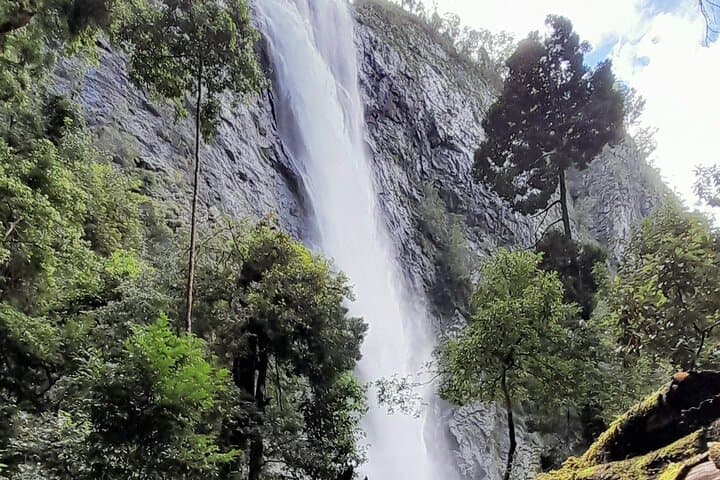Port Macquarie Day Tour: Ellenborough Falls & Comboyne Rock Waterfall Hike and Lookout photo 4