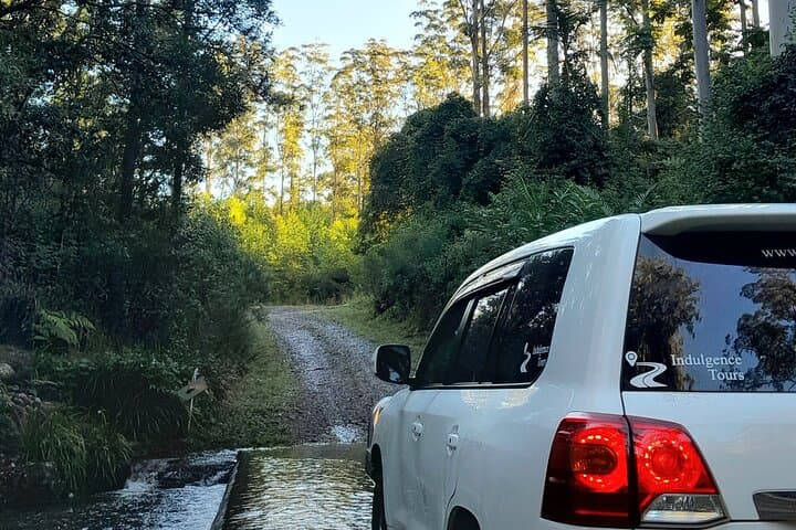 Port Macquarie Day Tour: Ellenborough Falls & Comboyne Rock Waterfall Hike and Lookout photo 5