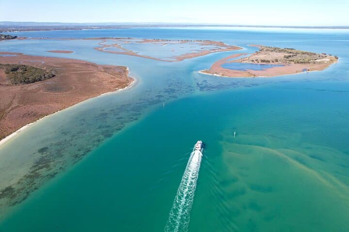 Mandurah Giant & Dolphin Cruise: Seba's Song Boat Tour on Peel-Harvey Estuary photo 2