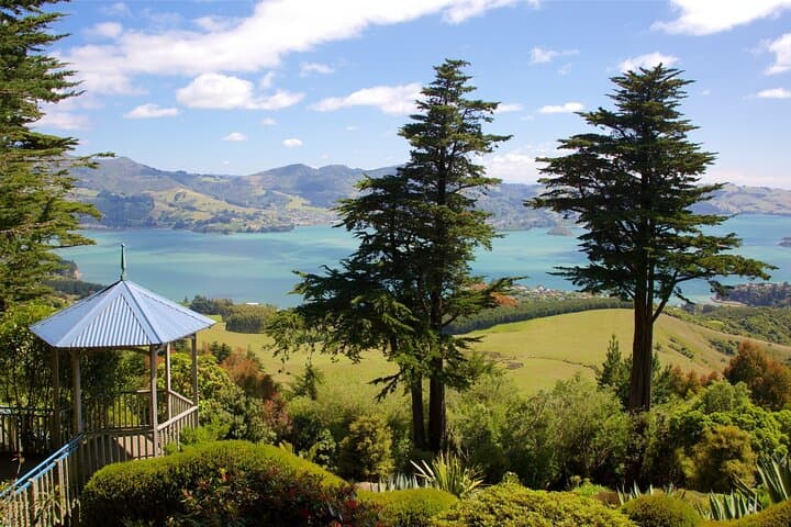 Self-Guided Dunedin Walking Tour: Octagon, Railway Station & Cultural Highlights photo 6