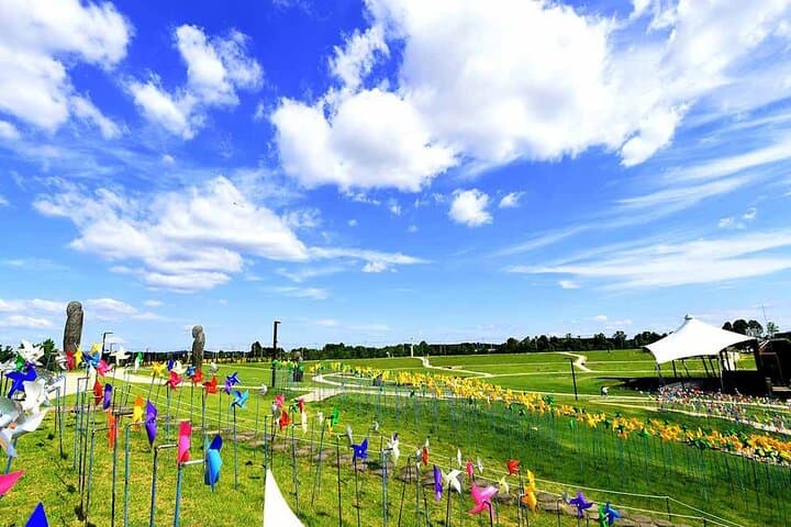 DMZ Tour from Seoul: Imjingak, Third Tunnel & Dora Observatory Day Trip
